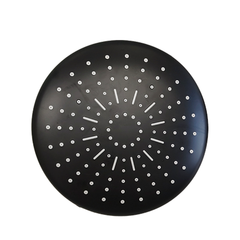 Shower top spray