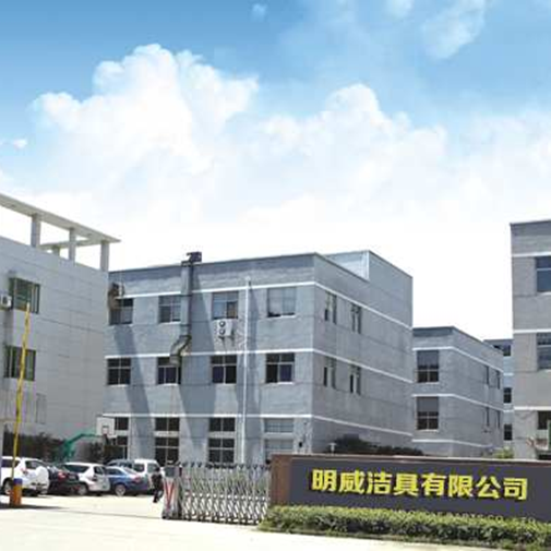 Our Company