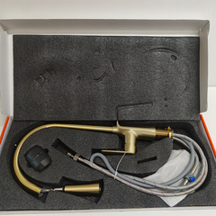 Pull Down Kitchen faucet gold