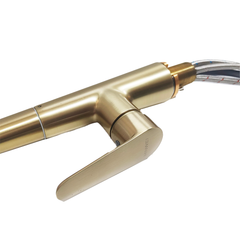 gold kitchen pull out faucet