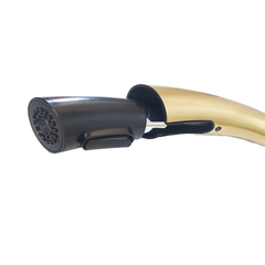 gold kitchen pull out faucet