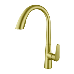 gold kitchen pull out faucet